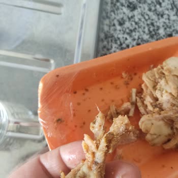 Beyza Piliç Tavuk Dönerde Kıl Çıkması Hijyen Endişesi Yarattı