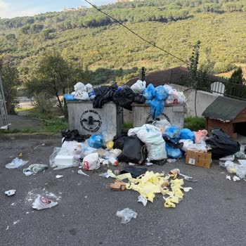 Zümrütevler Mahallesinde Biriken Çöpler Hijyen Sorununa Yol Açıyor