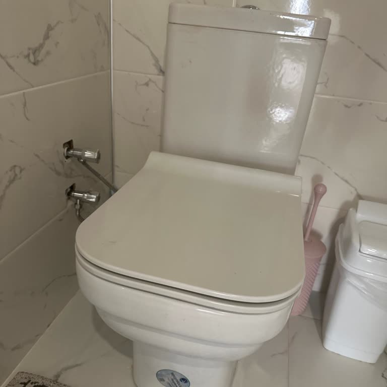 Seramiksan Klozet Kapağı Stoper Sorunu Ve Destek Talebi