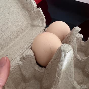 Kırık Ve Kokmuş Yumurta Teslimatı, İade Talebim Cevapsız Kaldı