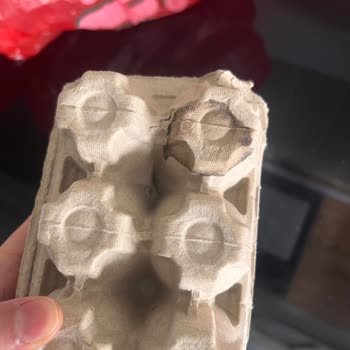 Kırık Ve Kokmuş Yumurta Teslimatı, İade Talebim Cevapsız Kaldı