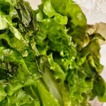 Bosch Buzdolabında Kronik Arıza Ve Yetersiz Servis Mağduriyeti