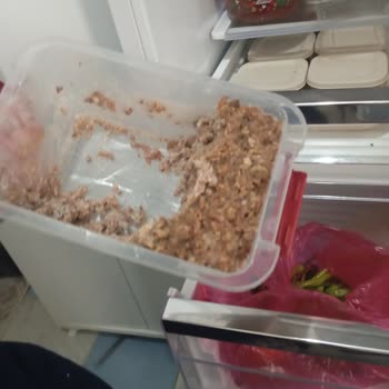 Buzdolabı Arızası Nedeniyle Yüksek Miktarda Gıda Kaybı Ve Yetersiz Çözüm