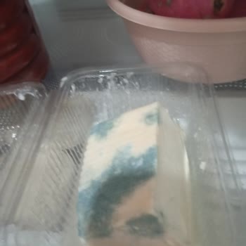 Buzdolabı Arızası Nedeniyle Yüksek Miktarda Gıda Kaybı Ve Yetersiz Çözüm