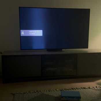 LG 65QNED86T6A Screen Flicker Ignored By Service - Request Repair or Replacement