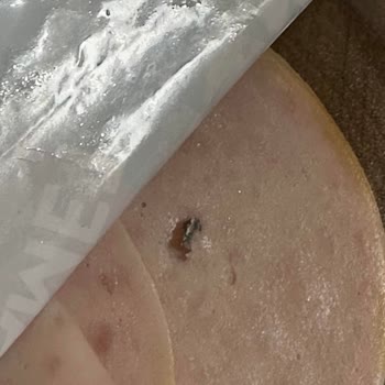 Namet Hindi Füme Ürününde Metal Yabancı Madde Ve İlgisiz Müşteri Hizmeti Mağduriyeti