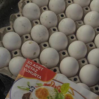 Marketlerden Alınan Yumurtalarda Küf Ve Kötü Koku Sorunu Yaşadım