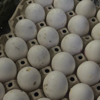 Marketlerden Alınan Yumurtalarda Küf Ve Kötü Koku Sorunu Yaşadım