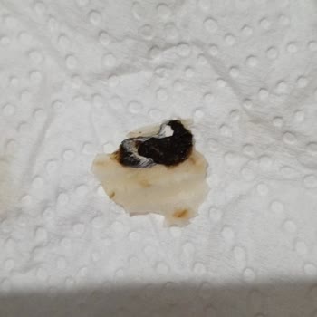 Tarhana Cipsinden Çıkan Şüpheli Madde Ve Hijyen Sorunu