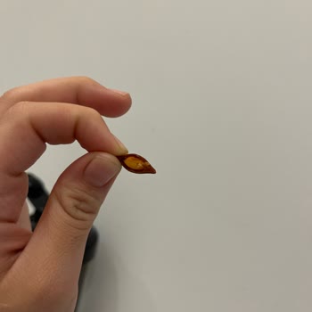 Çayda Kayısı Çekirdeği Çıkması Nedeniyle Sağlık Ve Güvenlik Endişesi