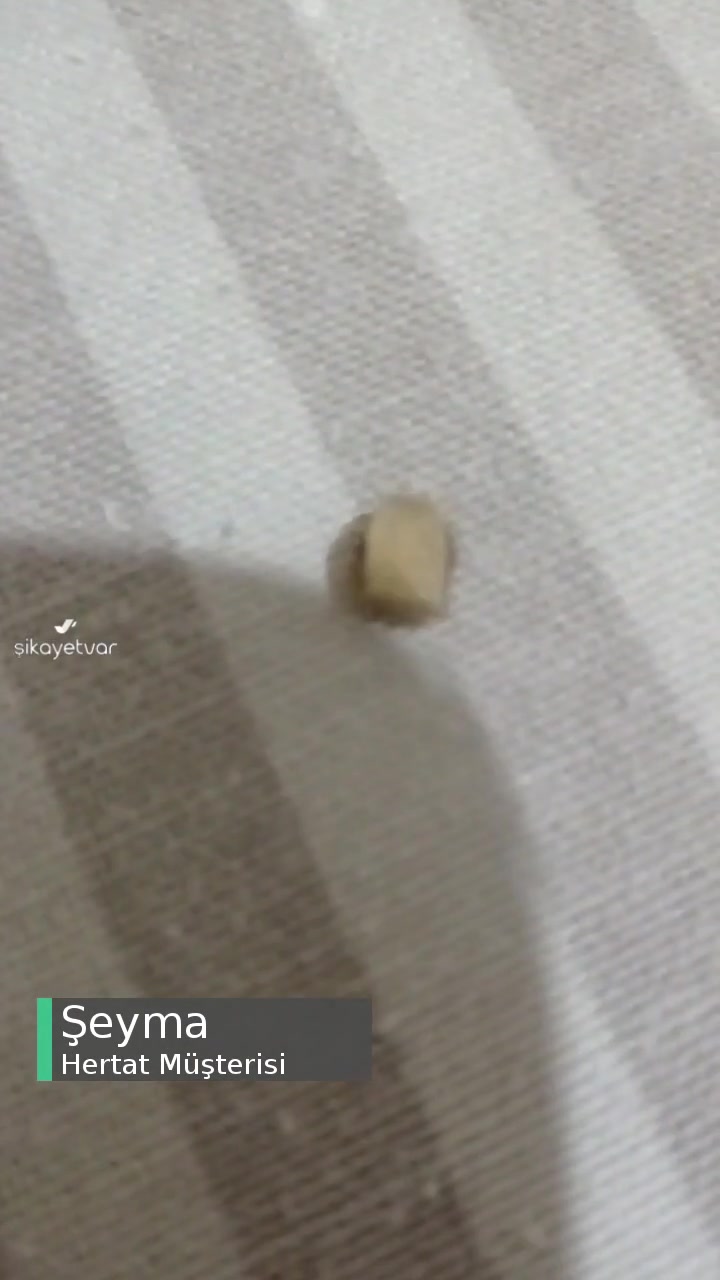 Hertat Fıstıklı Baklavadan Taş Çıktı! videonun kapak resmi