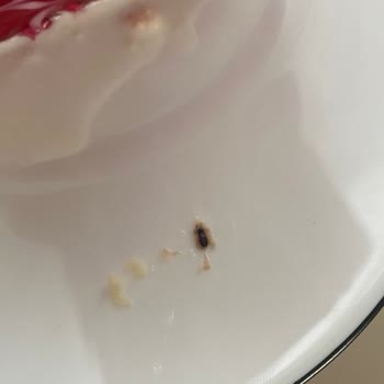 Nurşafak Pastaneleri Frambuazlı Trileçenin İçinden Kurt ve Böcek Çıktı