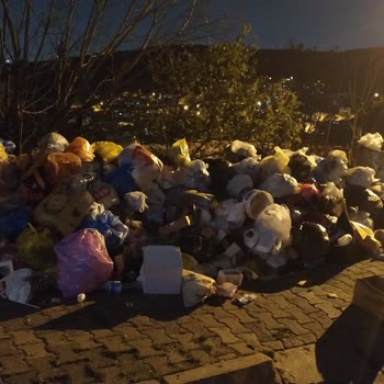 Başıbüyük TOKİ Konutlarında Çöp Toplama Hizmetinin Aksaması Ve Sağlık Riski