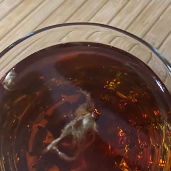 Küflü İçecek Ve Eksik Son Kullanma Tarihi: Gıda Güvenliği Riski