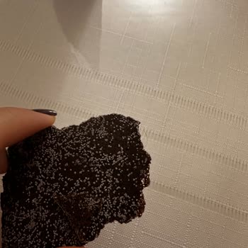 Munchey Food Paket İçinden Kıl Çıktı