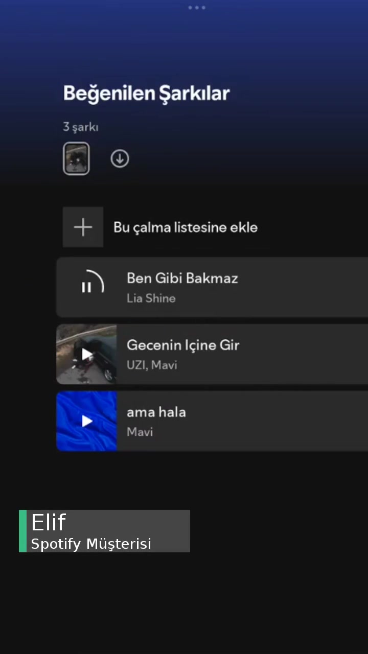 Spotify Şarkı Dinleyemiyorum Videodaki Gibi Oluyor! videonun kapak resmi