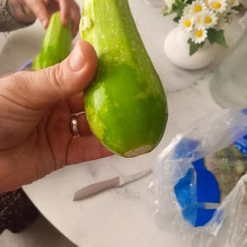 Beko Buzdolabı Sebzeleri Donduruyor, Çözüm Sunulmuyor