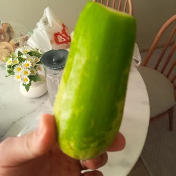 Beko Buzdolabı Sebzeleri Donduruyor, Çözüm Sunulmuyor