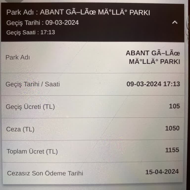 Bilgilendirme Eksikliği Nedeniyle Haksız Ceza Mağduriyeti