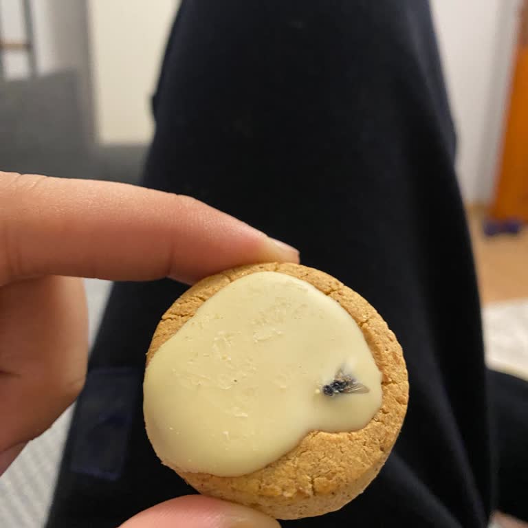 Satın Alınan Bisküvinin İçinden Sinek Çıkması Nedeniyle Hijyen Ve Sağlık Endişesi