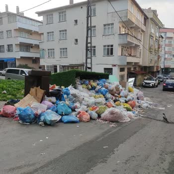 Zümrütevler’de Çöp Yığınları Ve Kötü Koku Krizi