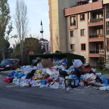 Zümrütevler’de Çöp Yığınları Ve Kötü Koku Krizi