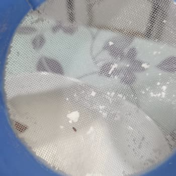 Sinangil Unlarında Tekrarlayan Böcek Sorunu Ve Güven Kaybı