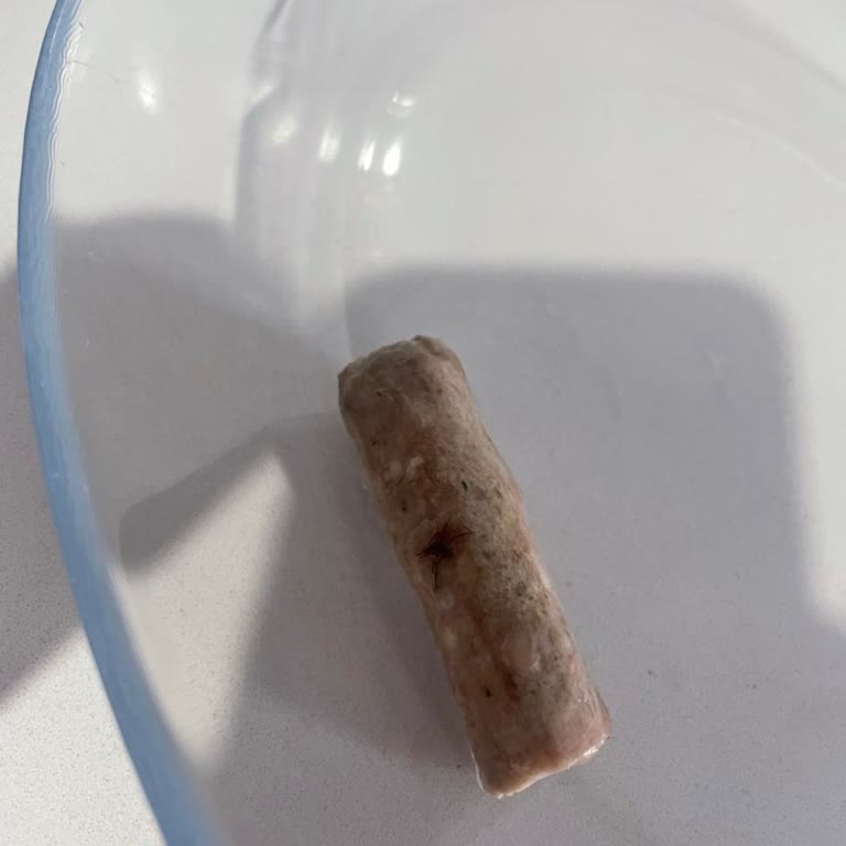 Dondurulmuş Köftenin İçinden Çıkan Donmuş Örümcek Şokunu Yaşadım