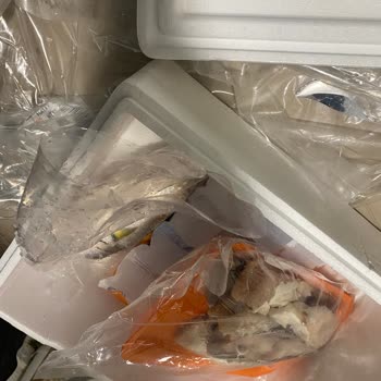 Soğuk Zinciri Kırılmış Ve Bozulmuş Balık Siparişi İçin İade Talebi