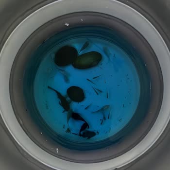 Canlıpetshop Yanlış Ve Kusurlu Balık Gönderimi Sonrası İlgisiz Müşteri Hizmeti