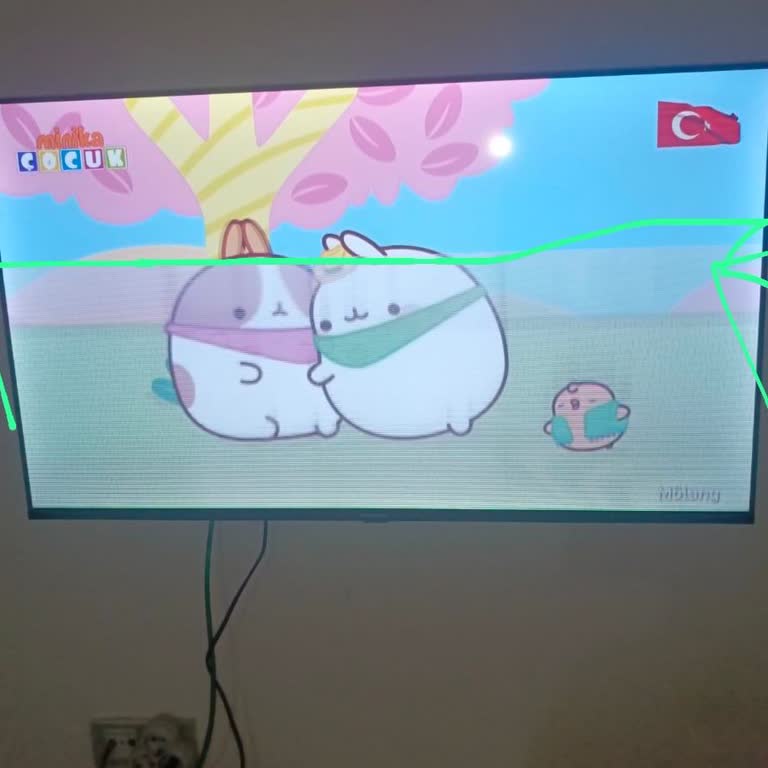 Satın Aldığım Skytech TV'de Erken Dönem Ekran Arızası Ve Servis İlgisizliği