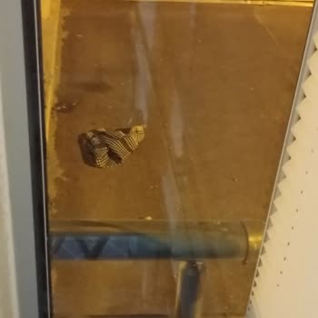 Ortak Alana İzinsiz Giriş Ve Kirlilik, Yönetimden Çözüm Bekliyorum