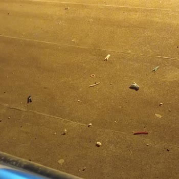 Ortak Alana İzinsiz Giriş Ve Kirlilik, Yönetimden Çözüm Bekliyorum