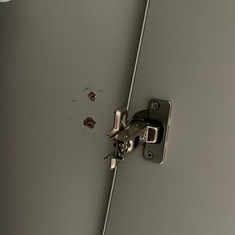 Modalife Montajında Büyük Hayal Kırıklığı