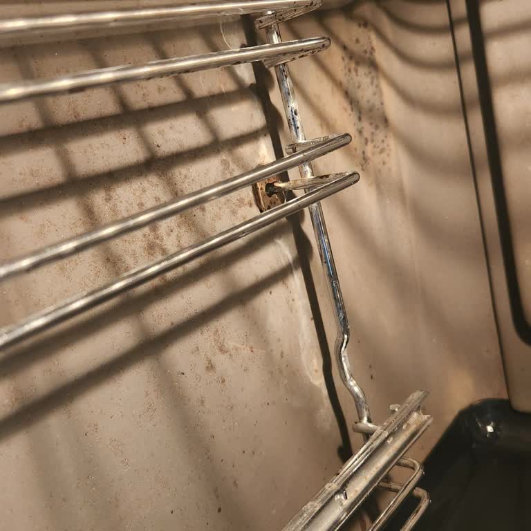 Bosch Bosch Ankastre Fırında Kalıcı Lekeler, Koku Ve Dokunmatik Ekran Sorunu