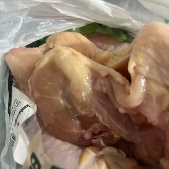 Keskinoğlu Tavuklarında Alışılmadık Renk Sorunu