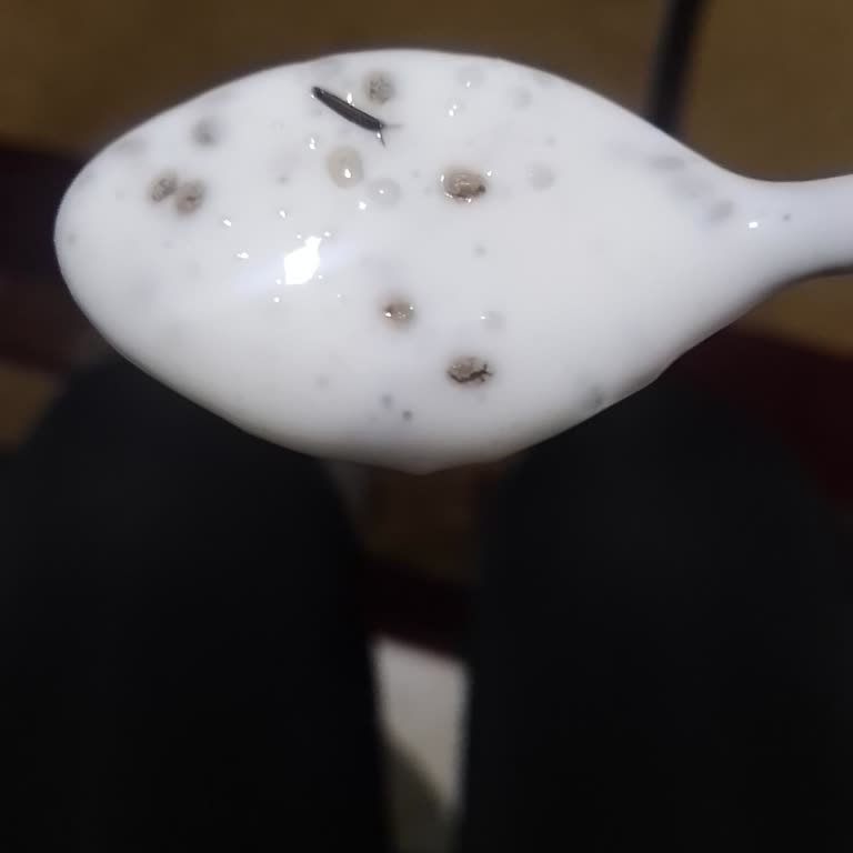 Duru Bulgur Chia Tohumundan Çıkan Yabancı Cisimler!