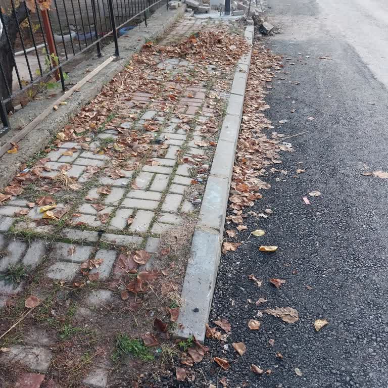 Fatih Mahallesi 770 Sokakta Yıllardır Süren Temizlik Sorunu Çözülmüyor