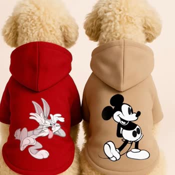 Monopetz Siparişim Gönderilmedi, Muhatap Bulamıyorum: Param ve Ürünlerim Nerede?