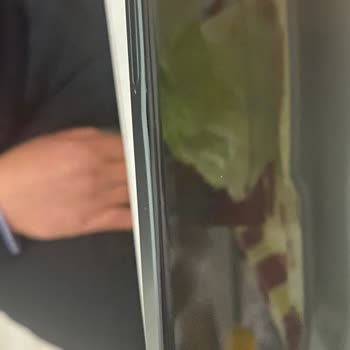 Realme A101 Online'dan Ayıplı Telefon Teslimatı ve Geciken Ücret İadesi