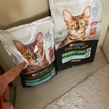 Trendyol'dan Satın Aldığım Kedi Mamasının Sahte Çıkması Ve Yorumumun Yayınlanmaması