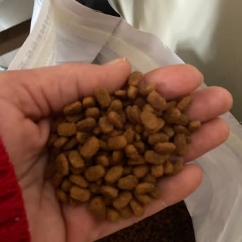 Trendyol'dan Satın Aldığım Kedi Mamasının Sahte Çıkması Ve Yorumumun Yayınlanmaması