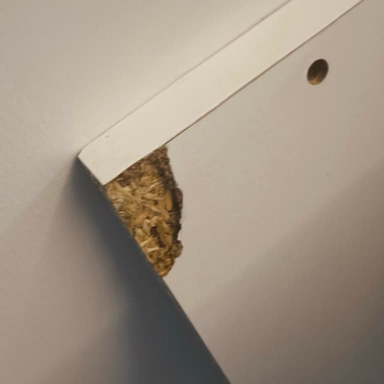 Hasarlı Ve Eksik Ürün İçin İade Talebime Aylarca Dönüş Yapılmadı