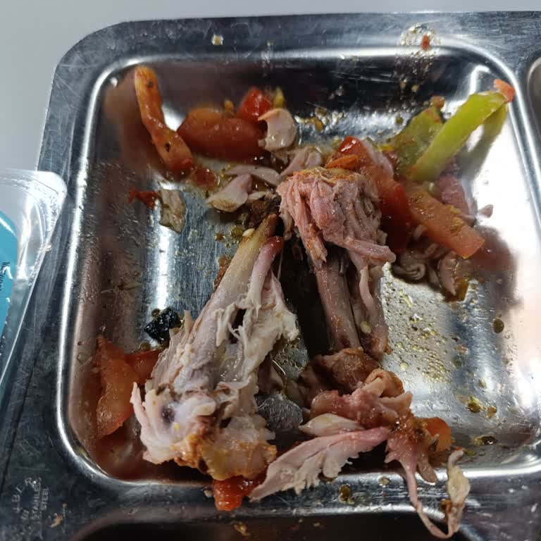 Erciyes Üniversitesi Yemekhanesinde Çiğ Tavuk Servisi Ve Sağlık Riski