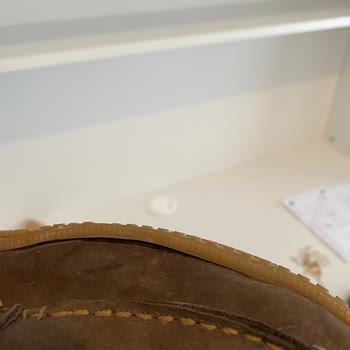 Kusurlu Ayakkabıya 'Kusursuz' Raporu Ve Reddedilen Garanti Talebi