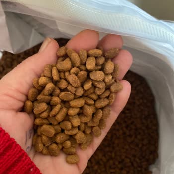 Trendyol Orijinalliği Şüpheli Kedi Maması Ve Yorum Engeliyle Mağduriyet