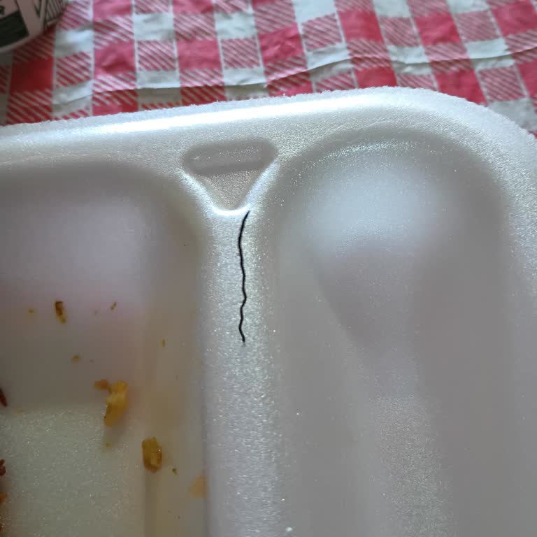 Fesleğen Yemek Yemekten Tel Çıktı