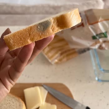 Migros Hemen'den Küflü Ekmek Teslimatı Ve Yavaş Çözüm Süreci Mağduriyeti