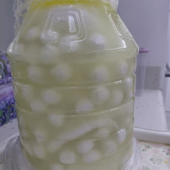 Eki aç