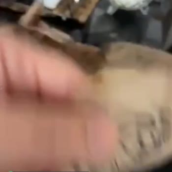 Tostçu Mahmut Elazığ Şubesinde Tost Hüsranı!